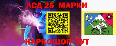 гидропоника Новозыбков