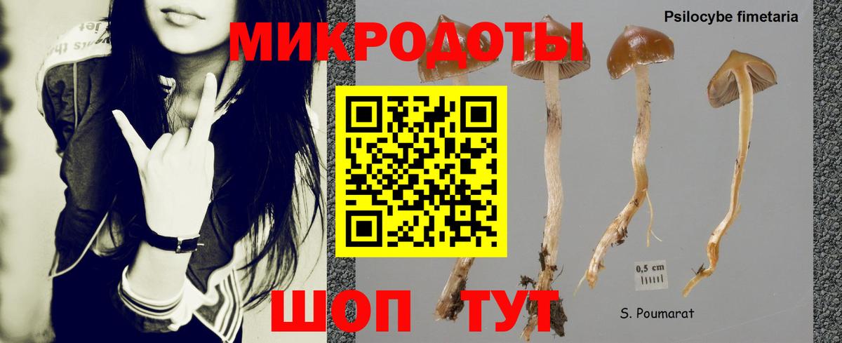 Советск  Псилоцибиновые грибы Cubensis  Вход с VPN 
